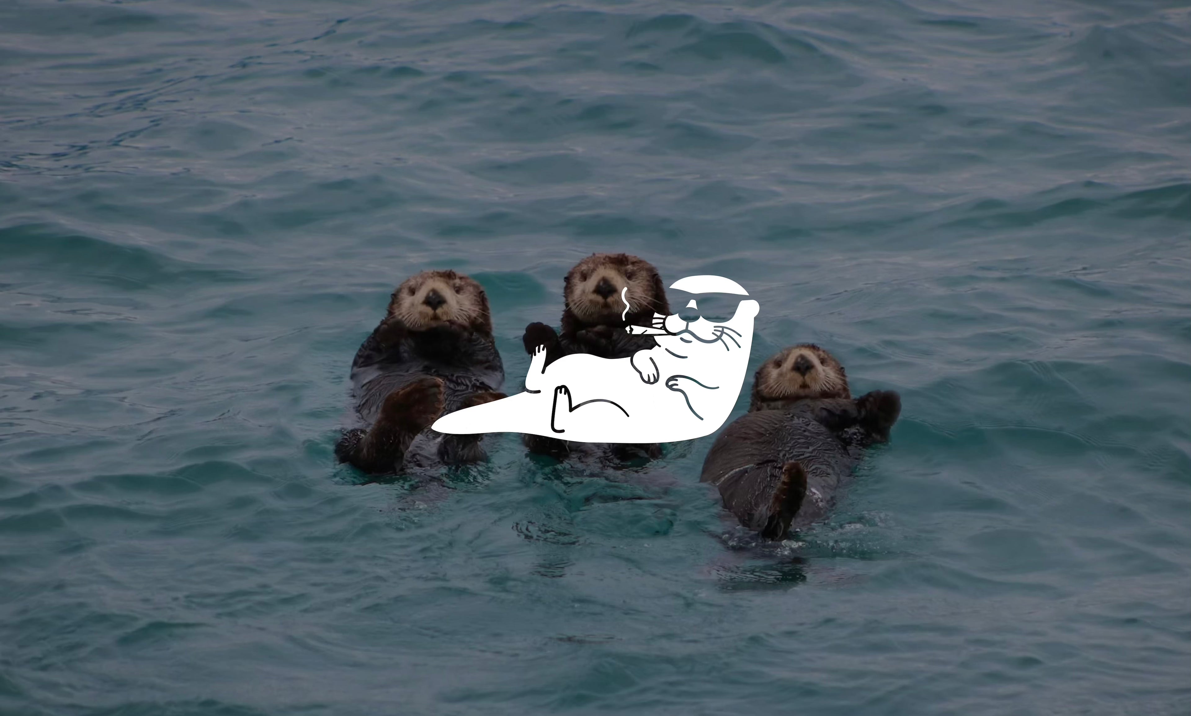 Spliftie Otter Gift card